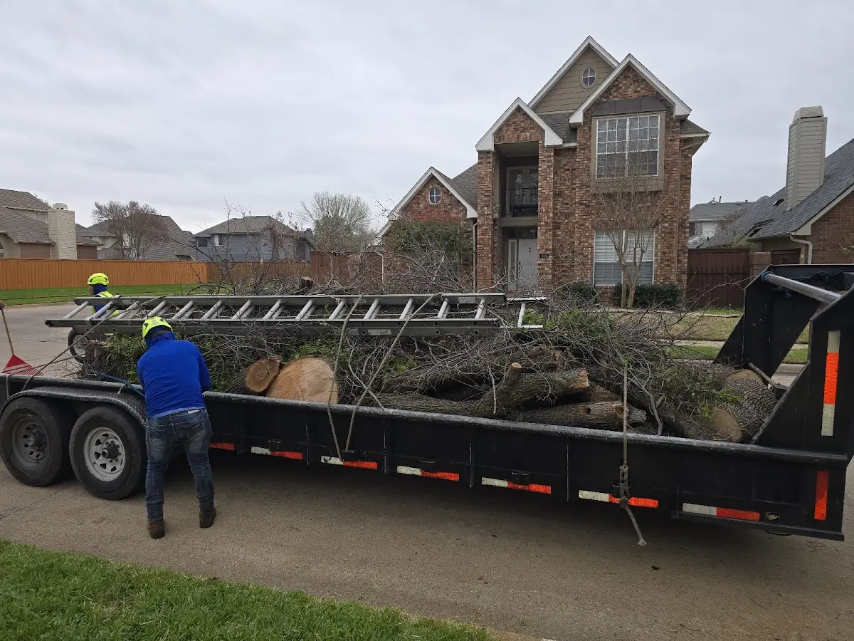 Expert Tree Pest Control with proper safety equipment in Yorkville
